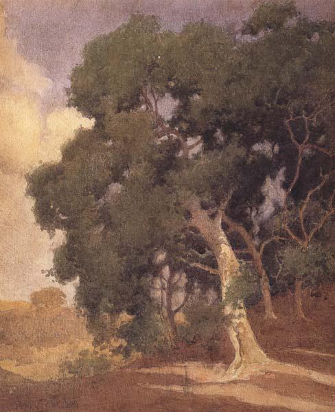 Percy Gray Trees on a Hillside (mk42)